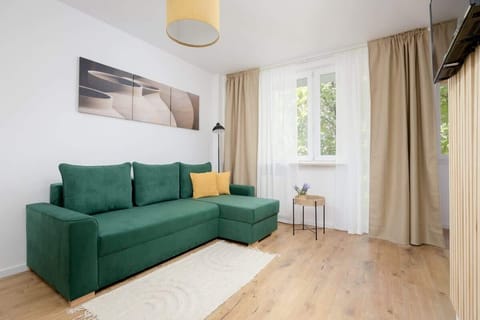 Comfortable, fold-out sofa in the living room. 
