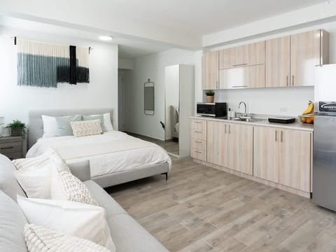 Handicap-accessible studio with queen bed