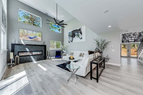 Main Level Living Area Fireplace