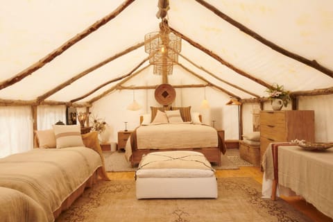 Inside tent view