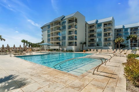 Modern beachfront property with sparkling pool area surrounded by tropical palms and comfortable loungers under sunny skies.