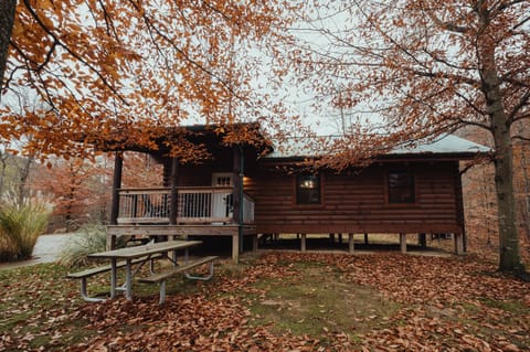 Cabin Exterior