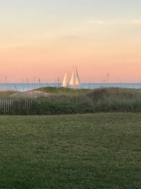 View from the back patio