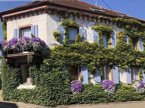 Apartment | Exterior