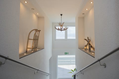 Apartment | Interior