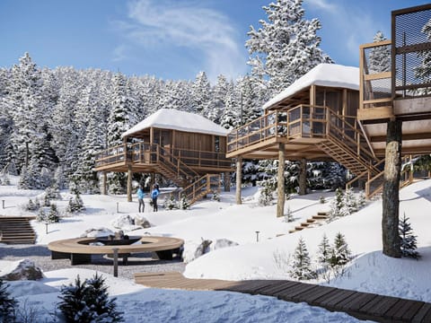Tent | Exterior