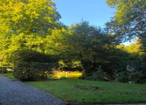 House | View from property