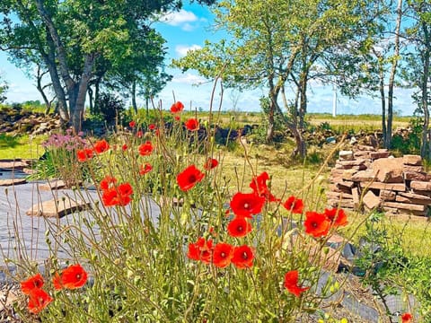 House | Property grounds