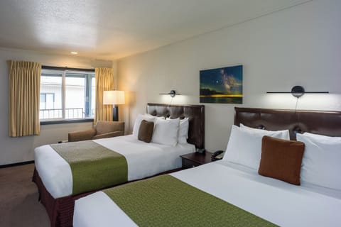 Egyptian cotton sheets, hypo-allergenic bedding, iron/ironing board