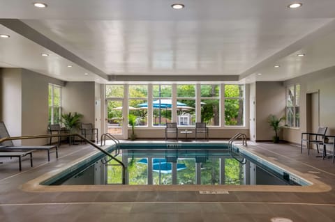 Indoor pool, sun loungers