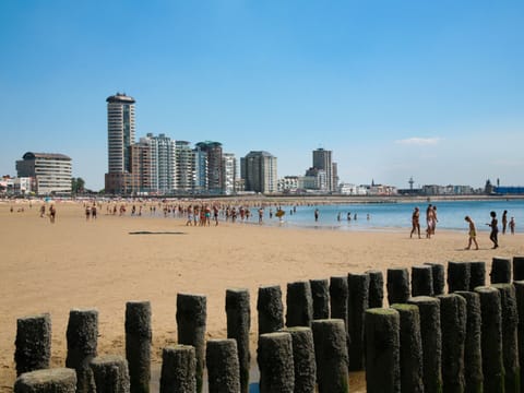 House | View from property