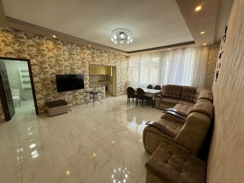 Living room #1, TV and Sofa Bed, plus 2 Sofa Chairs that turn into Single Bed.