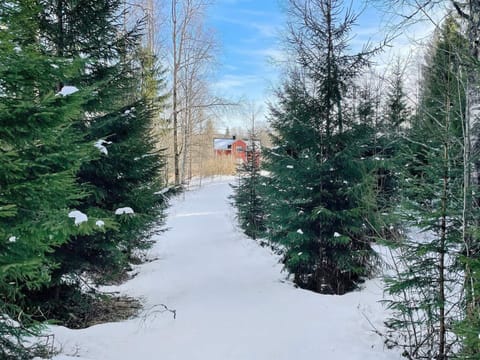 House | Property grounds