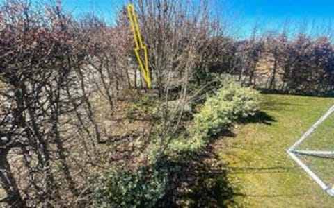 House | Property grounds