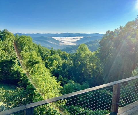 Owner Photos Misty Rainbow