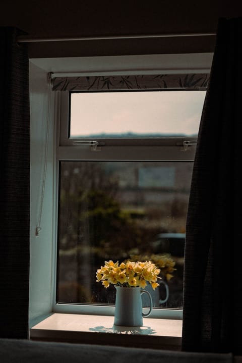 Lanhydrock at Trevalgan Farm Holidays