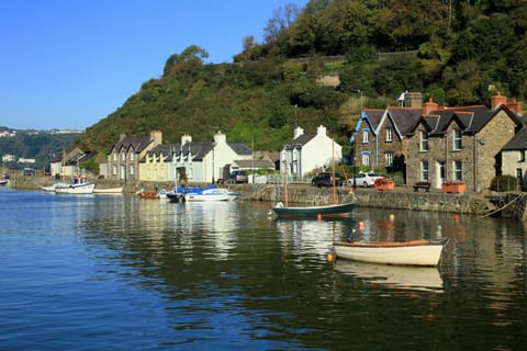 The harbour at Lower Fishguard, cottages on the quay and moored boats