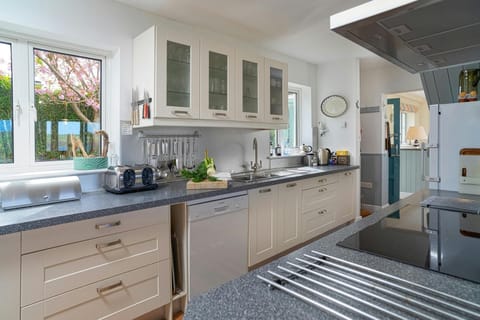 Kitchen with cooker, cooker hood, sink and fitted cupboards