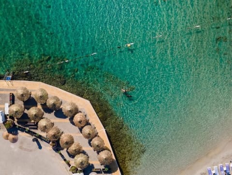 Private beach, beach shuttle