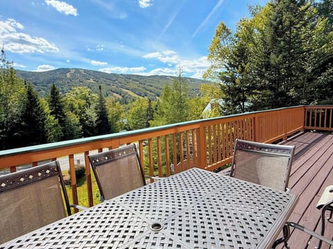Welcome to Mount Washington Place - main level deck area  with a view!