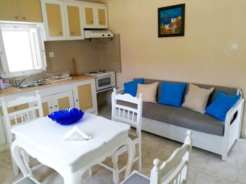 Cozy Open-Plan Living Area with Kitchen and Dining Space