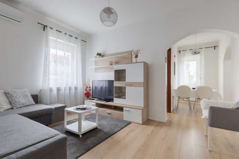 Living room with sofa bed and TV