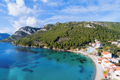 Villa (Three-Bedroom Villa with Terrace and ) | Aerial view