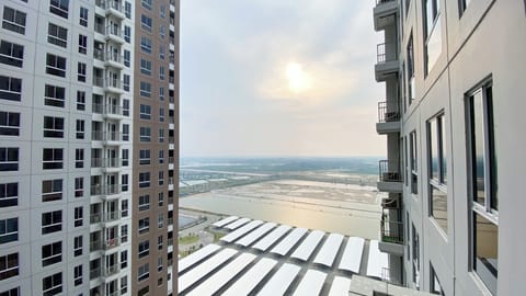 Studio | View from room