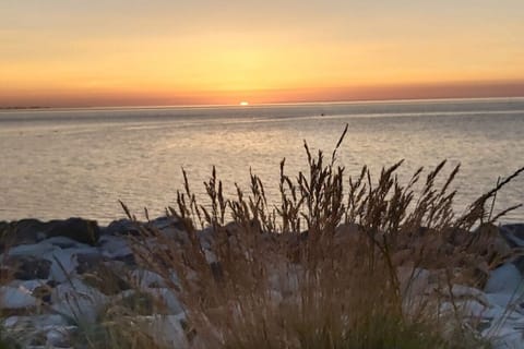 Surroundings [summer] (1-5 km)