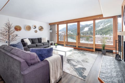 Living Room - View