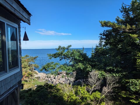 Summer View from Porch