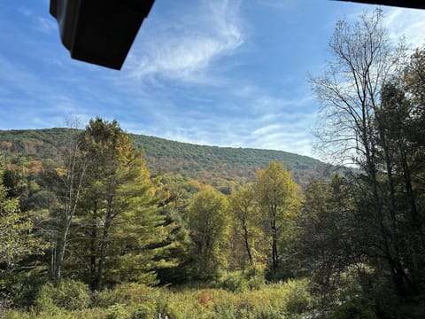 Mountain view from the open deck.