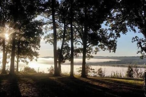 48a16765 a7d0 4328 9ec2 8f7e439c7553