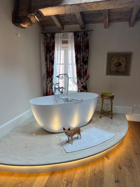 Suite Il Libertino | Bathroom | Rainfall showerhead, free toiletries, hair dryer, bathrobes