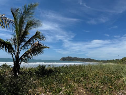 Surfside Outpost: Where the Jungle Meets the Sea