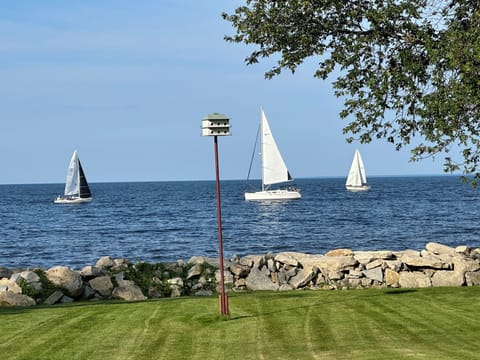 Sailboat races every Wednesday in the summer.