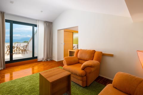 31-inch LCD TV with satellite channels, TV