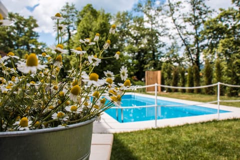 Pool on the premises – Surrounded by greenery, perfect for a refreshing swim.

