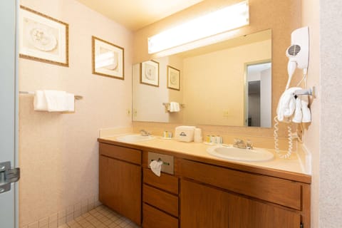 Deluxe Studio Suite, 1 King Bed, Non Smoking | Bathroom | Free toiletries, hair dryer, towels