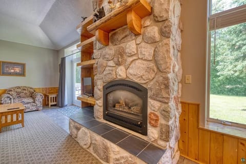 Gas Fireplace Patio Door