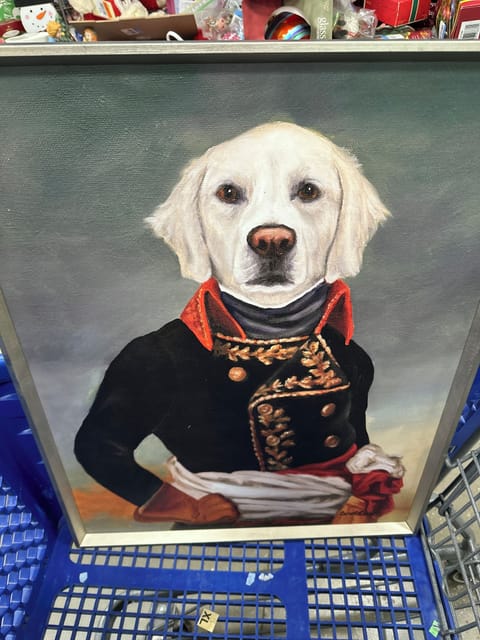 Pet-friendly