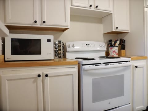 Sticks & Stones on Drummond Island (3853)