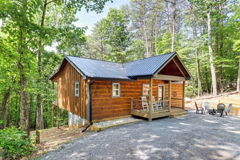 Blue Ridge Vacation Rental | 2BR | 2BA | 960 Sq Ft | Steps Required