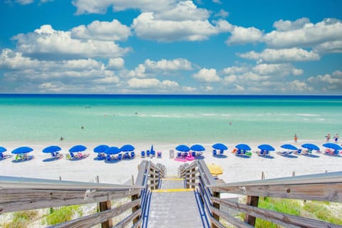 Condo, Multiple Beds (BeachCrest 101) | Beach | On the beach