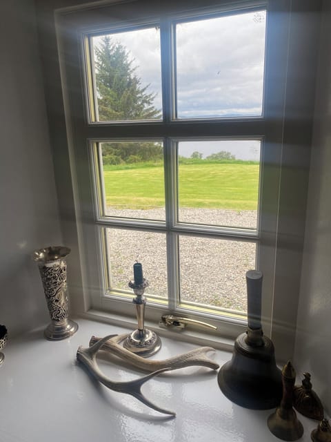 Window from dining room