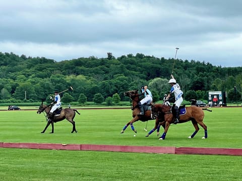 Polo match - viewable from front porch.