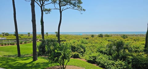 True Ocean Front, actual view from balcony,  boardwalk to beach!
