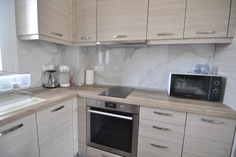 Family Apartment, 2 Bedrooms | Private kitchen | Electric kettle