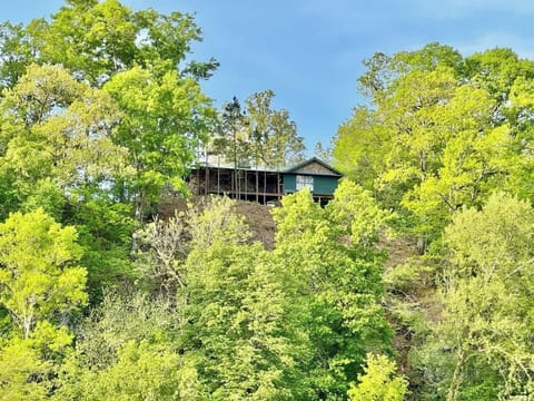 Looking up from the Illinois River