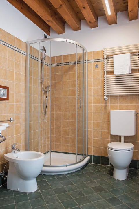 Shower, hair dryer, bidet, towels